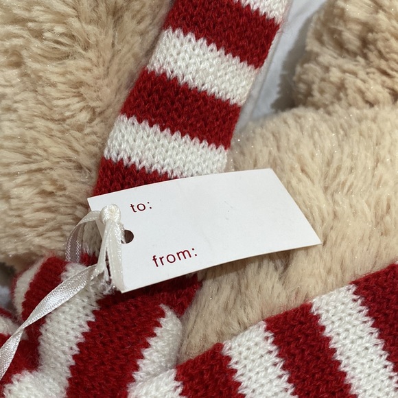 Kid’s Aéropostale Stuffed Teddy Bear with Scarf. One size. Gift card holder. - Picture 7 of 9